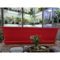 Контейнер для растений 