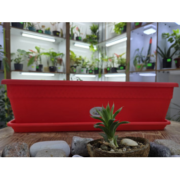 Контейнер для растений 